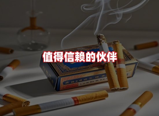 专业团队